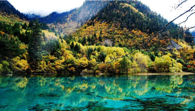 中国有色集团下属四川眉山违法开发房地产